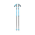Traverse Ski Poles
